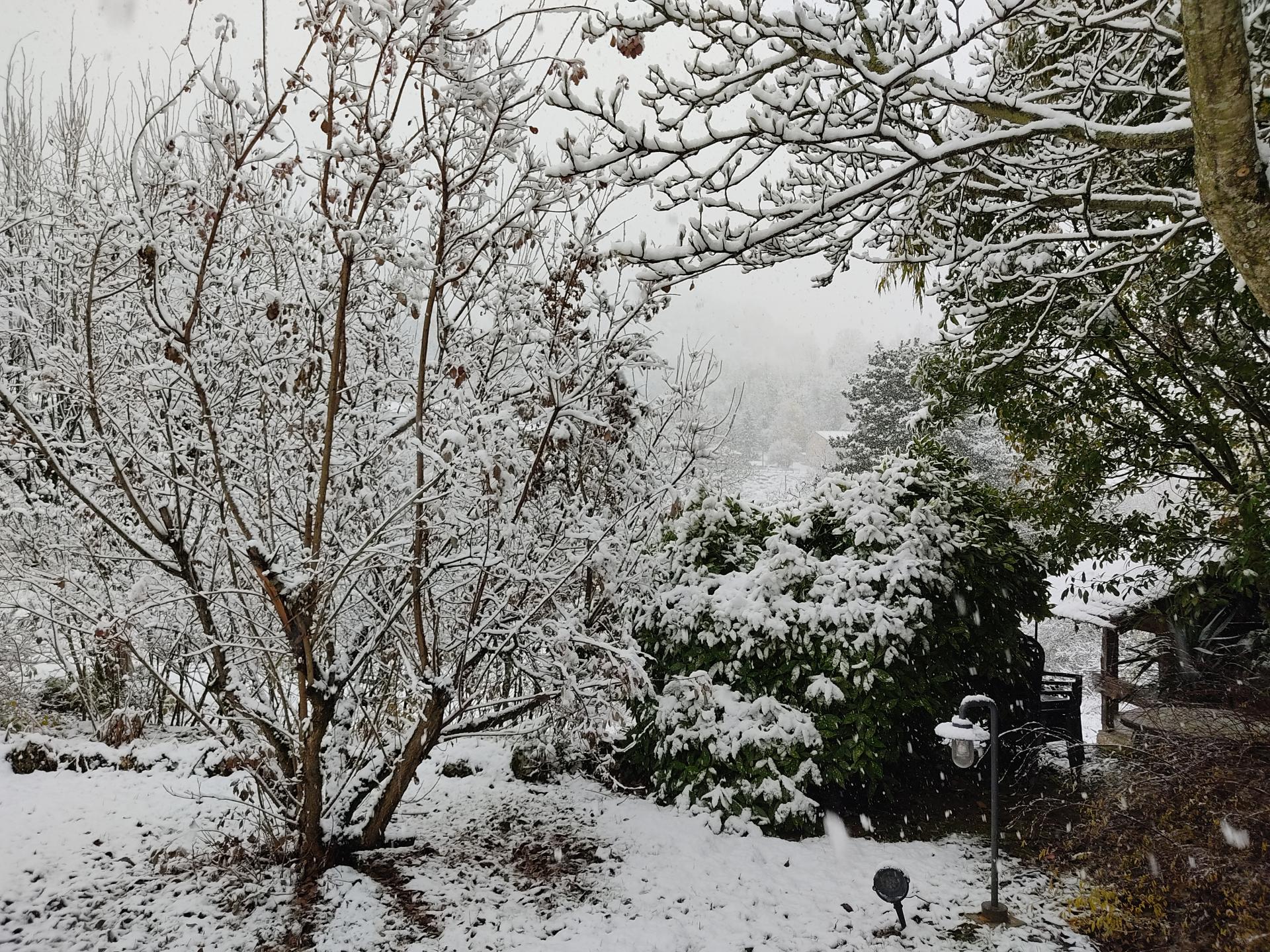 Le petit parc en blanc