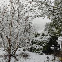 Le petit parc en blanc